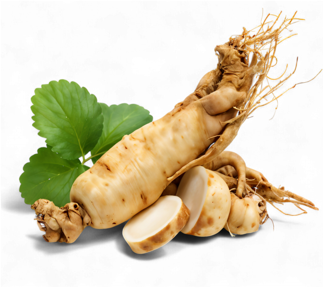 Extracto de ginseng